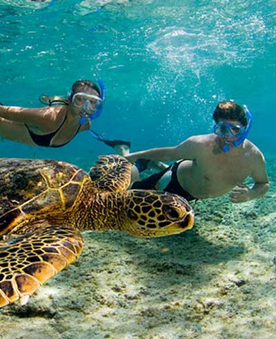 Servicios de transporte en el aeropuerto de cancún a Akumal