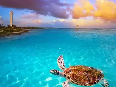 Taxi a Akumal